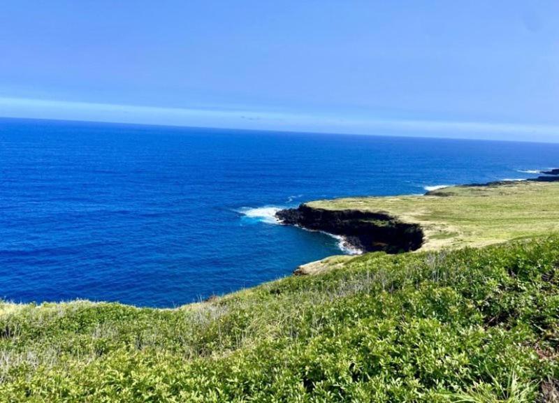 Charming 1 Bedroom Beach Condo Prime Location Great Value Pahala Esterno foto