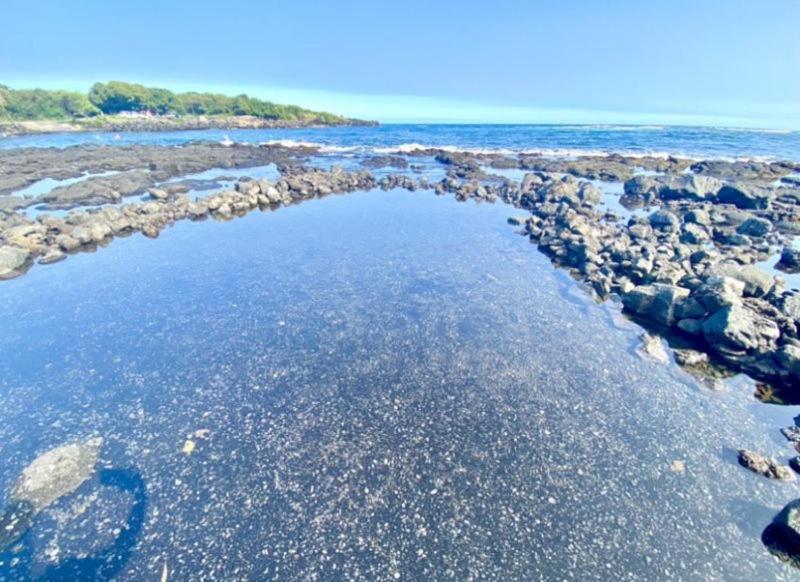 Charming 1 Bedroom Beach Condo Prime Location Great Value Pahala Esterno foto
