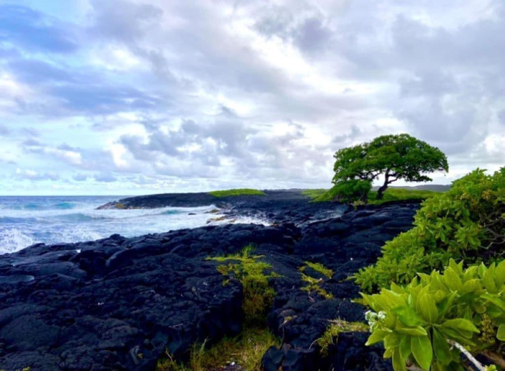 Charming 1 Bedroom Beach Condo Prime Location Great Value Pahala Esterno foto